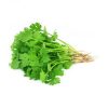 coriander Koriander (fresh dhania) 1 Bundel